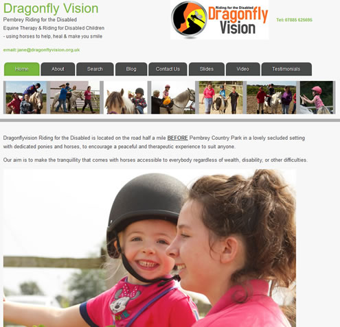 Dragonfly Vision website